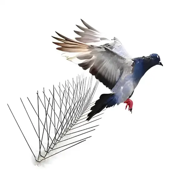 Pigeon Spikes - NettyFix - Hyderabad, Vizag, Warangal, Suryapet, Bangalore, Chennai, Anantapur, Visakhapatnam, Srikakulam, Kadapa, Kurnool, Guntur,